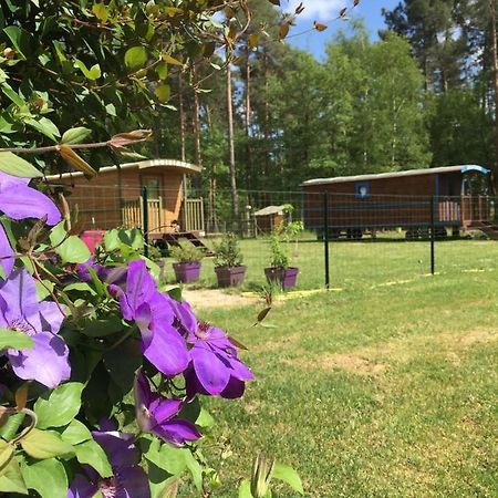 Roulottes Du Chalet Des Pins Rougeou Экстерьер фото