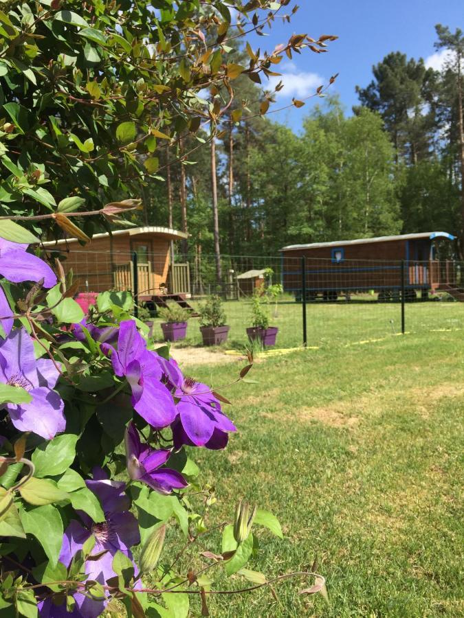 Roulottes Du Chalet Des Pins Rougeou Экстерьер фото