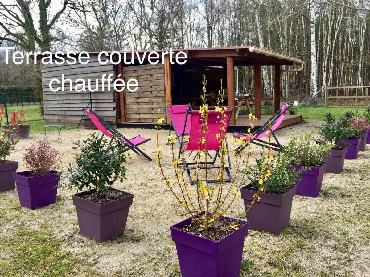 Roulottes Du Chalet Des Pins Rougeou Экстерьер фото